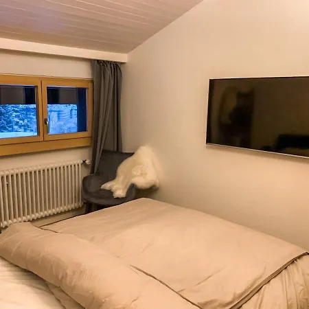 Albina Alpenblick Apartment