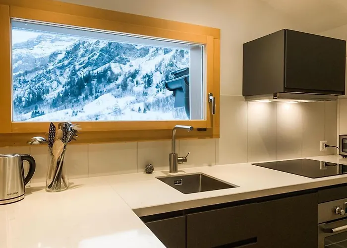 Albina Alpenblick Apartment *